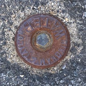 Meet your Posher, Audrey